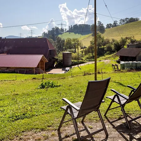 Apartamento Hinterbauernhof Pferdeglück *